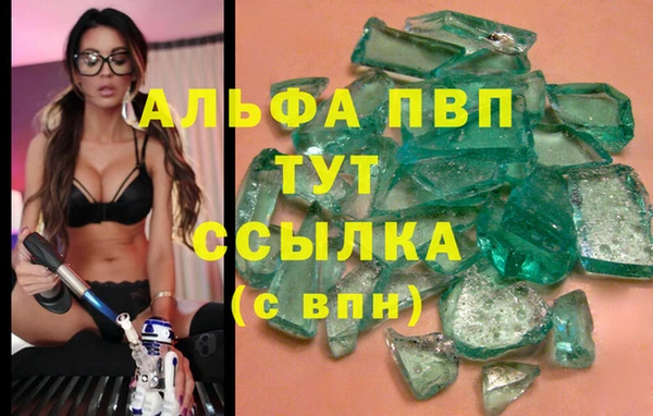 2c-b Надым