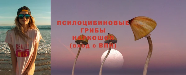 2c-b Надым